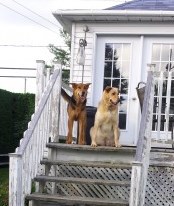 Photo: Cheryl-Lynn 2013