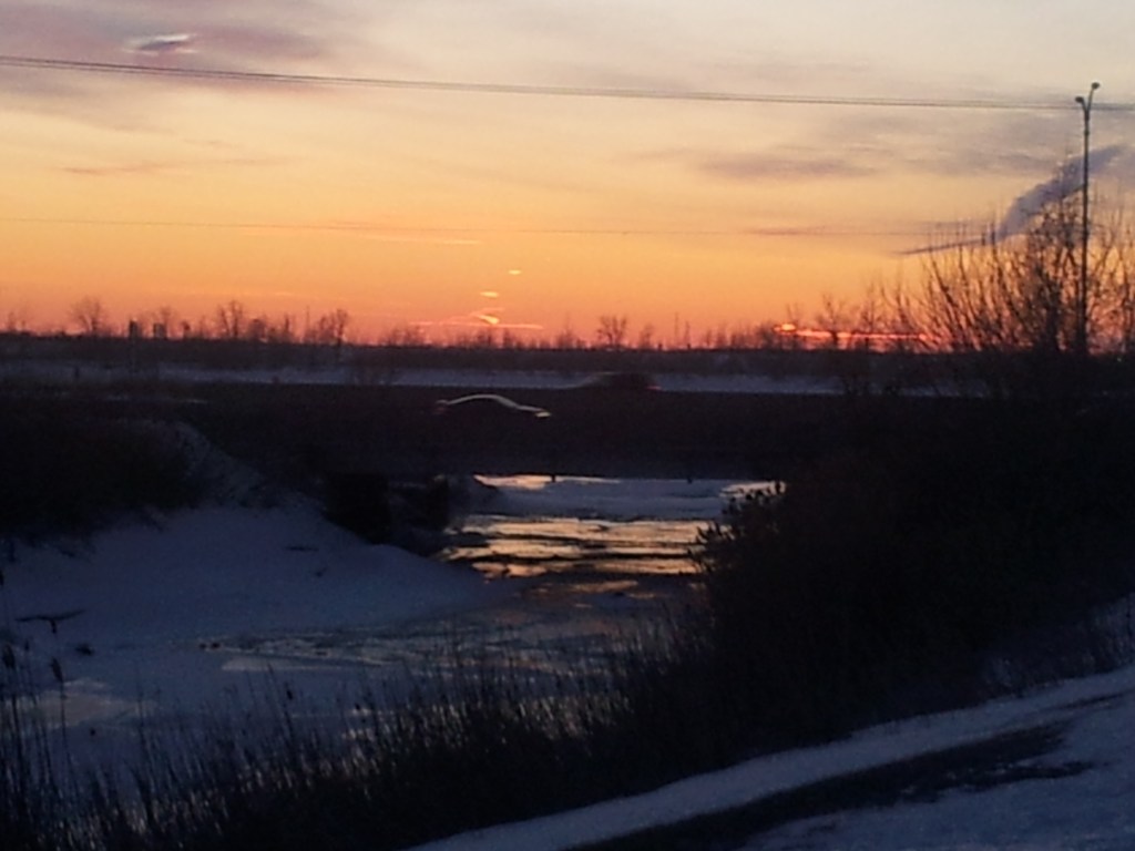 chasing sunsets Cheryl-Lynn March 1 2014