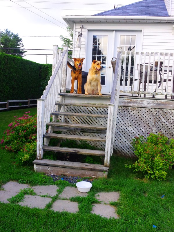 Soul Sisters © CLR 2013