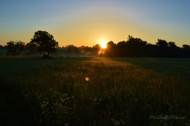 Photograph by Michelle Marie @ Tell Me About It