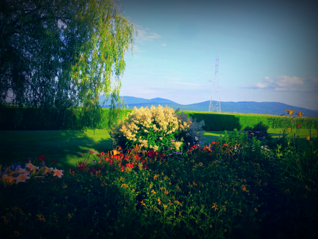 2014-07-30 11.22.06.png image