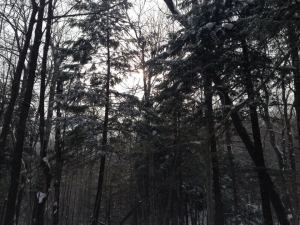 (c) Olivier Gagnon - Rougemont, Québec '14