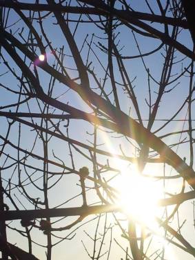 974246_470397553075504_363000250_n