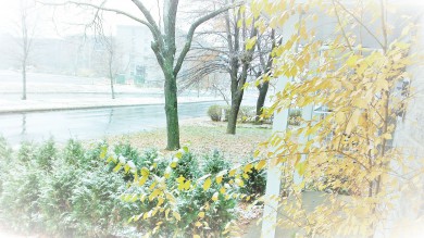 tablet-win_20141116_092522-2[1]