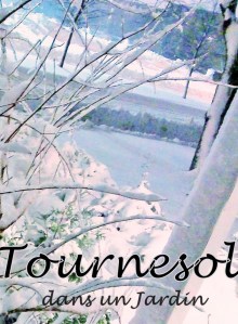 cropped-header-for-tournesol3.jpg