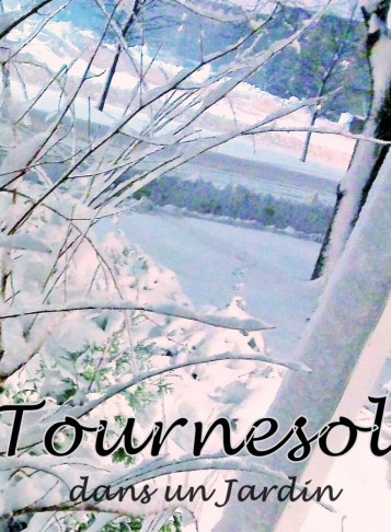 cropped-header-for-tournesol3.jpg
