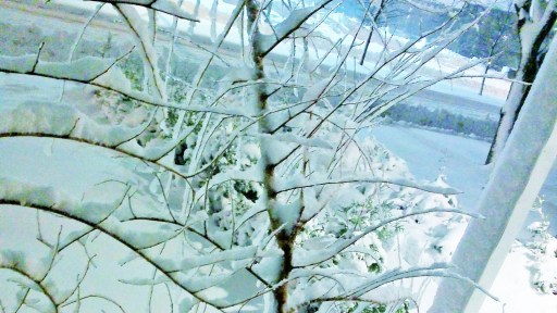 Snow dust and icicles