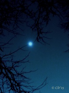 20150106_231131_Android (2)