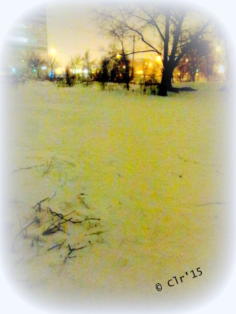 20150118_222530_Android (2) Walking thru bush