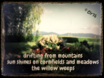 16714557320_b1f295c943