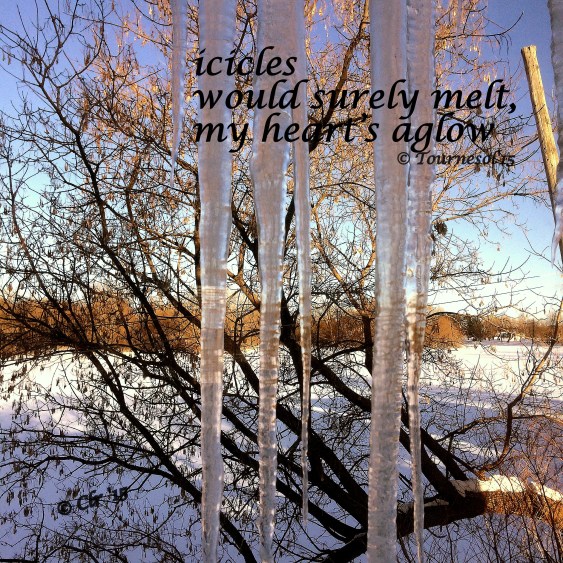 kitchen view March 6th icicles