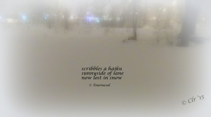 March 3rd Snow fall haiga first part corrected