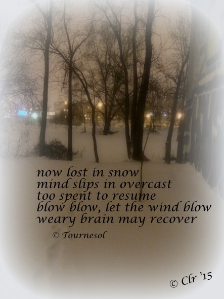 March 3rd Snow fall haiga second part