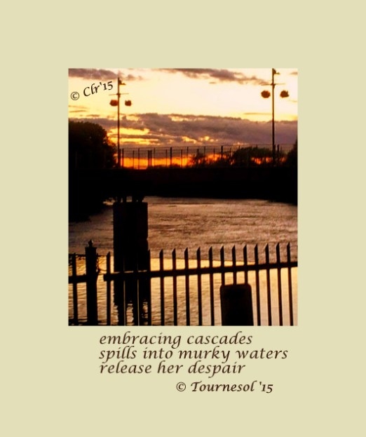 murky waters of despair haiga