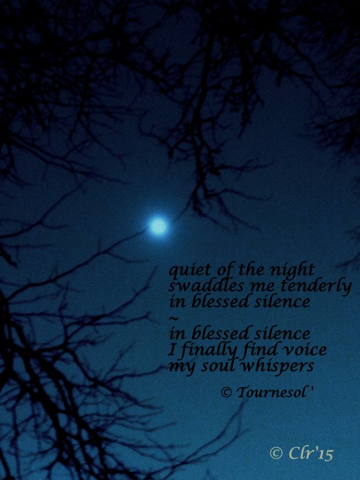 quiet of the night   haiga