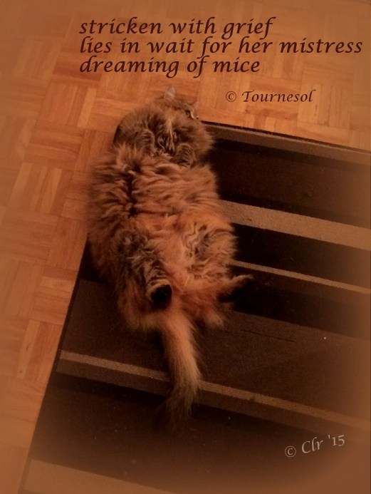 Stricken in wait for mistress