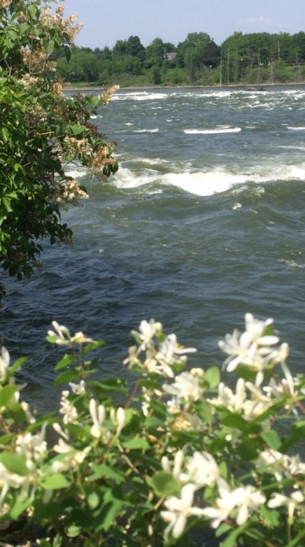 © Clr'16 Rivière Richelieu, Chambly, Qc.