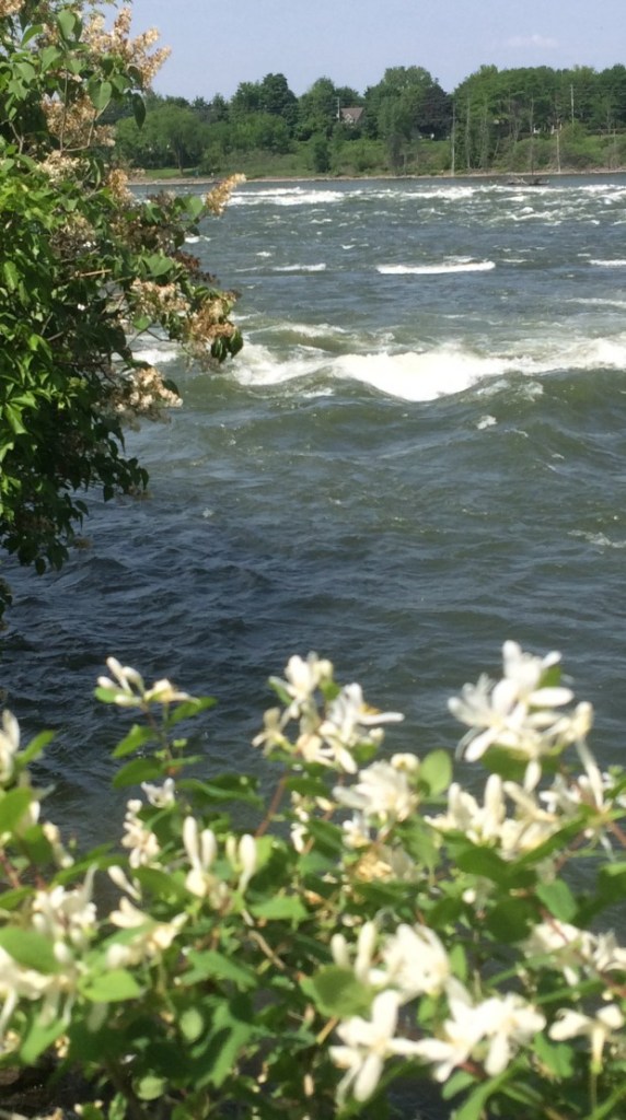 © Clr'15 Rivière Richelieu, Chambly, Qc.