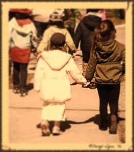 25684311095_17851e2625_z