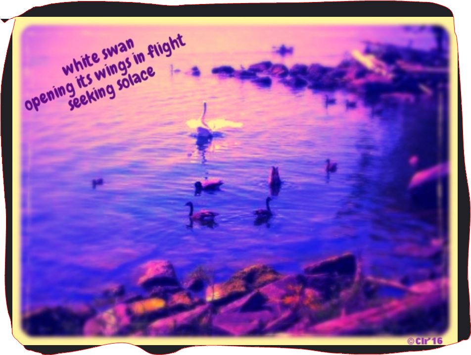 Lake Ontario, Oakville, On.