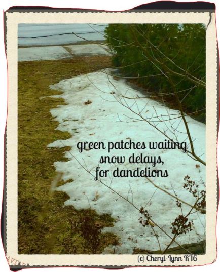 12977186_921416007973654_4887685375818592746_o