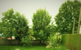 (c)Clr'16 Rougemont, Qc.