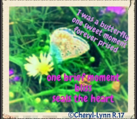 butterfly-moment