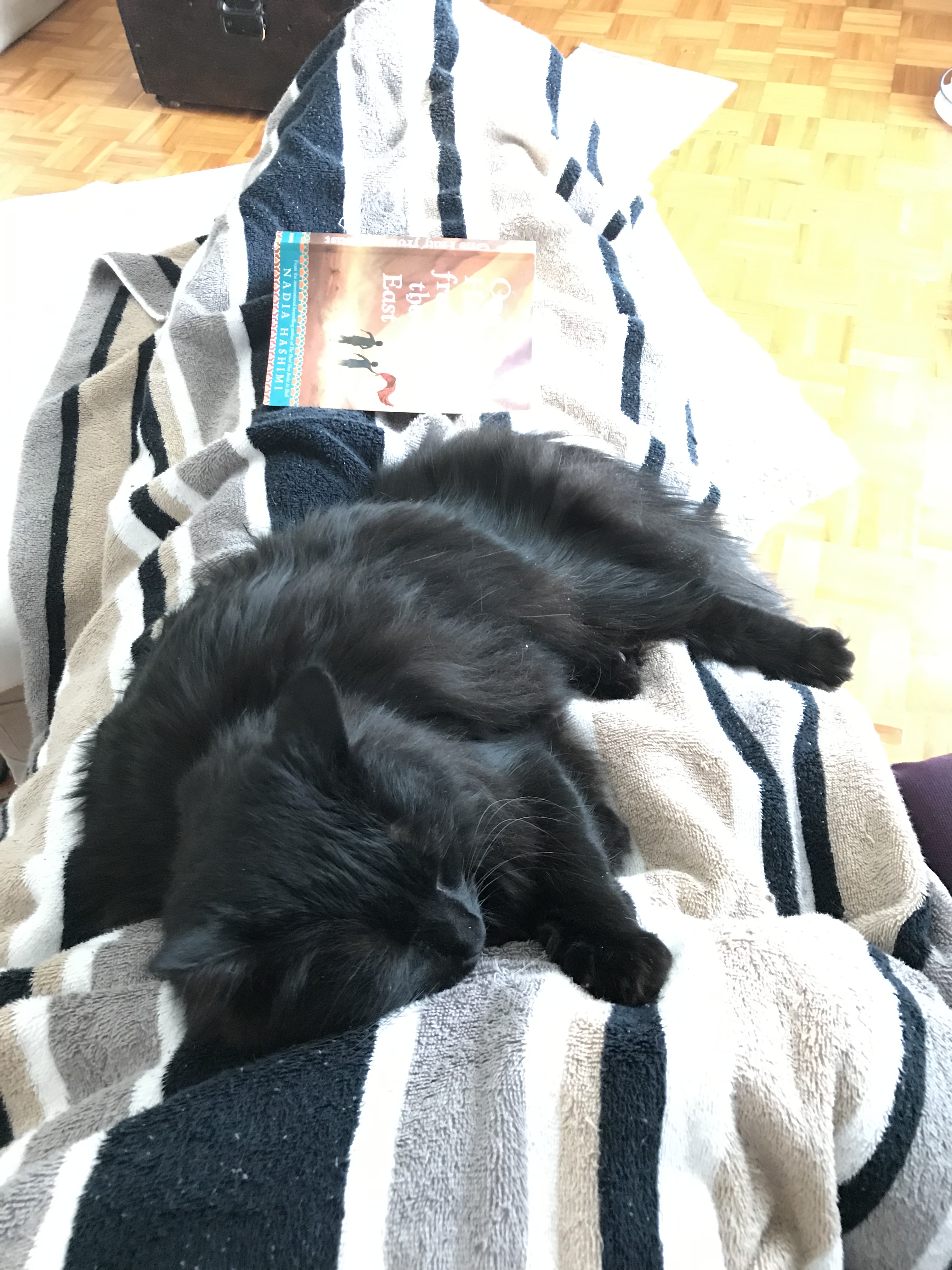 0FD24E8A-040D-4BB2-8D76-662A656D3A49