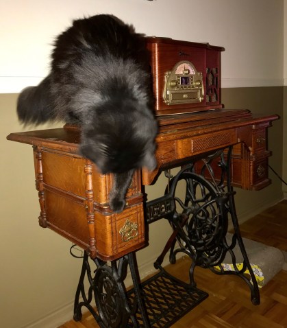 Kali opening the drawer of Kitty toys