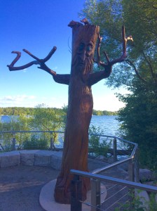 (c) clr '2021 Lake Wilcox, Richmond Hill, ON. Canada